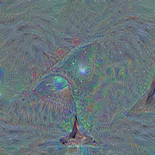 n02066245